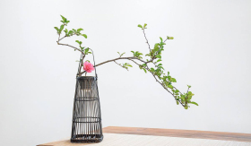 插花 八(图1)